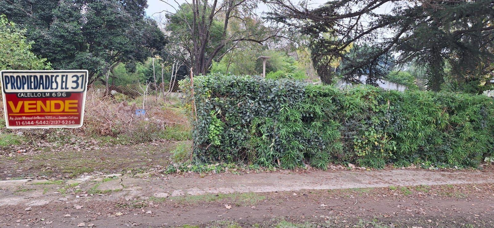 OPORTUNIDAD EN KM 41: Amplio Lote en Virrey del Pino